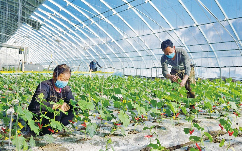 吹響總攻衝鋒號——白山市決戰脫貧攻堅紀實