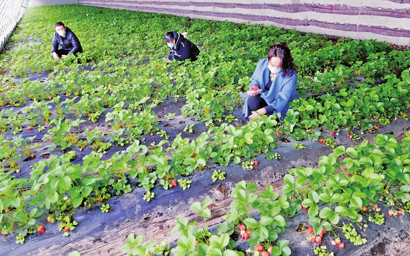 吹響總攻衝鋒號——白山市決戰脫貧攻堅紀實