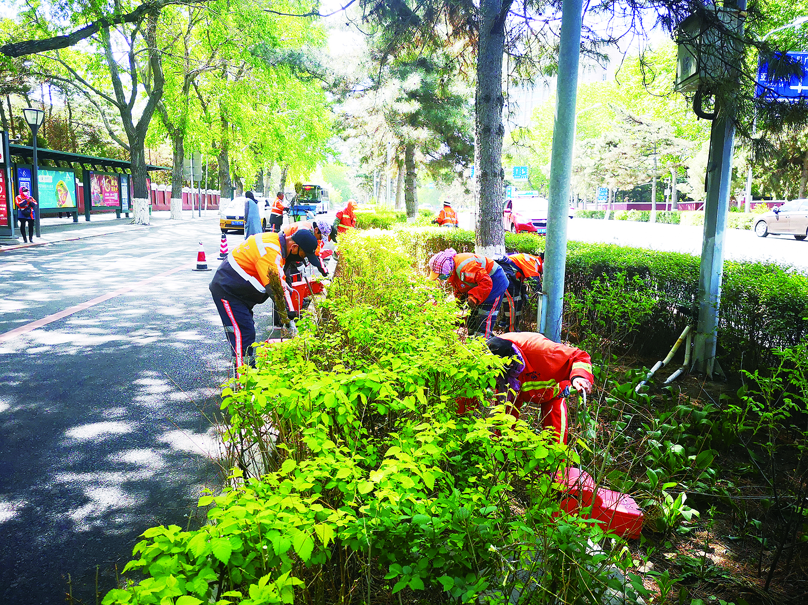 長春市寬城區全力加強市容環境亂象專項整治