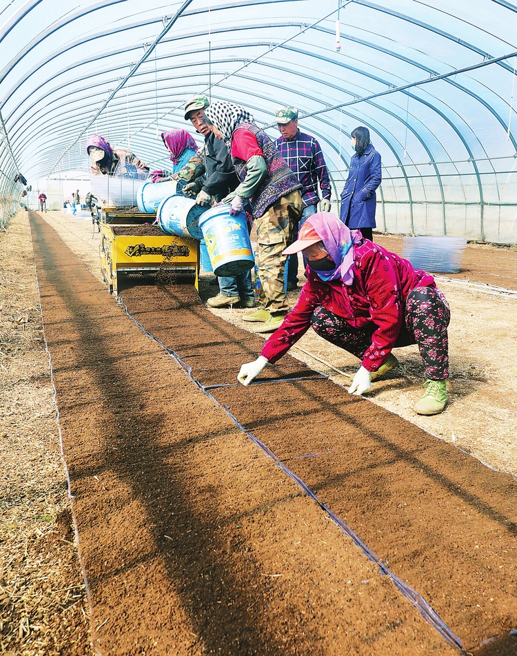 不負農時不負春——吉林省各地備春耕工作剪影