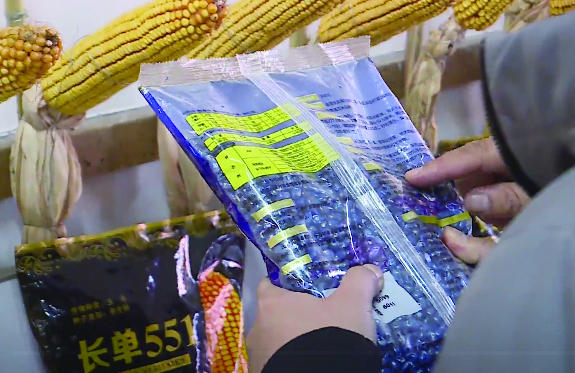 長春市掀起春耕播種熱潮