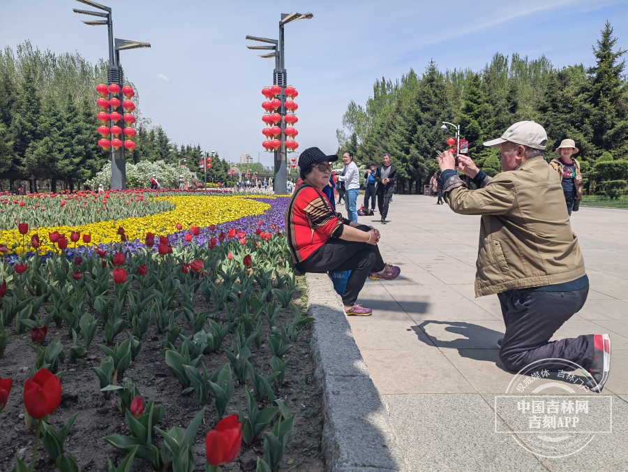 長春公園鬱金香花開滿園