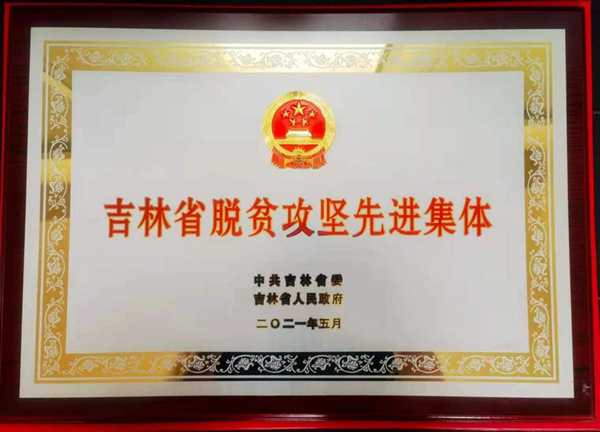 【吉林051801】中國太保産險吉林省分公司榮獲“吉林省脫貧攻堅先進集體”稱號_fororder_image003_副本