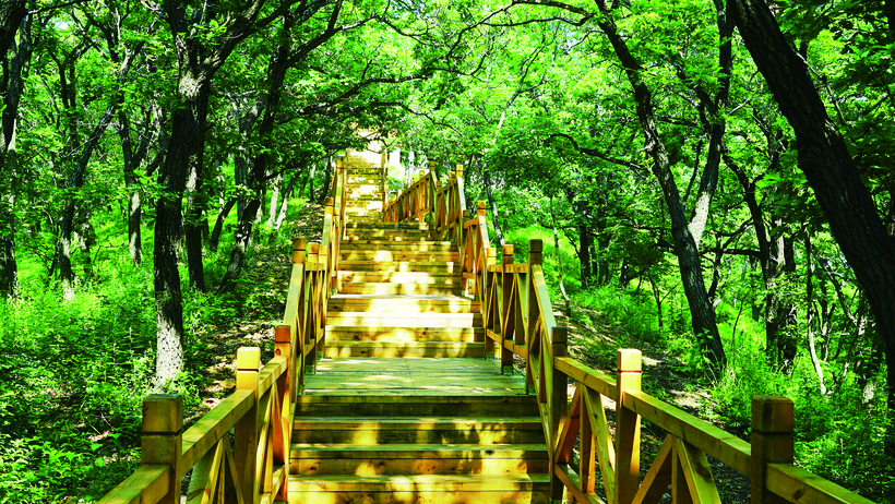 2019長春消夏藝術節：為城市奏響夏的讚歌