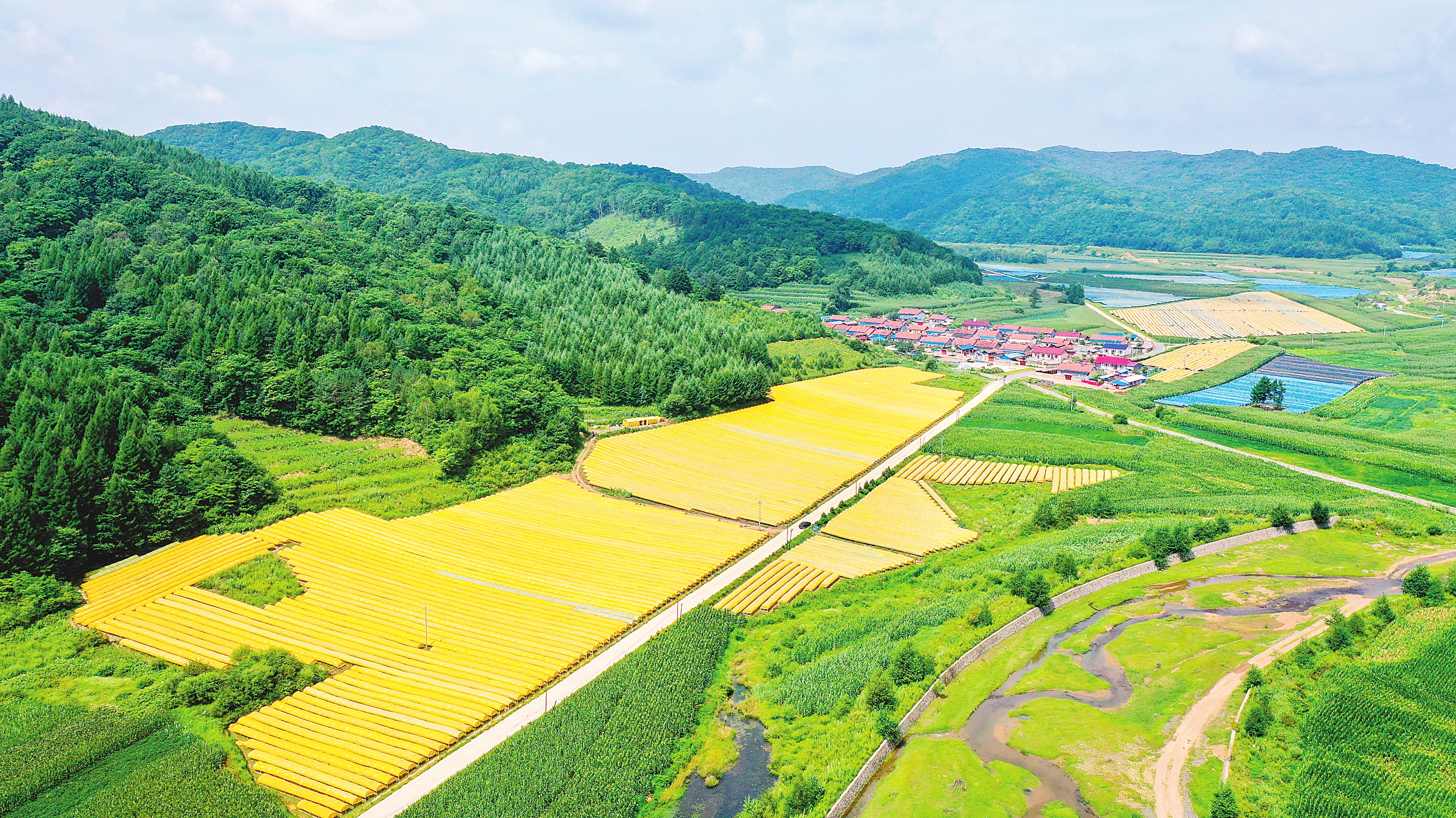 扛穩糧食安全重任 築牢鄉村振興基石——吉林省實施鄉村振興戰略綜述