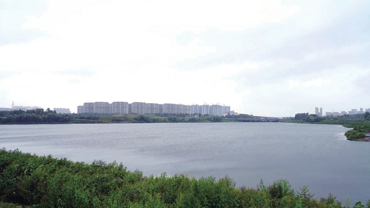 長春寬城：開啟河暢水清岸綠景美治水新篇章
