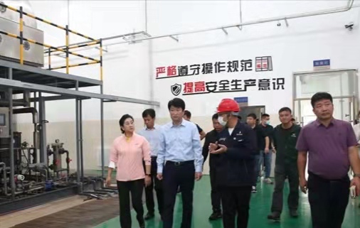 延吉市領導調研環保督察整改情況