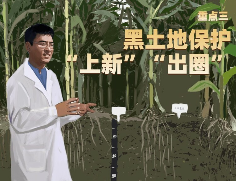 “耕地中的大熊貓”有多重要？記者“黑土峰”帶你劃重點