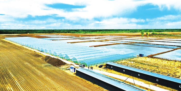 産業扶貧，富了群眾強了信心——白城市洮北區東勝鄉曉光村見聞