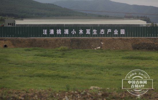 延邊汪清奏響“脫貧致富經” 小小木耳托起村民“增收夢”