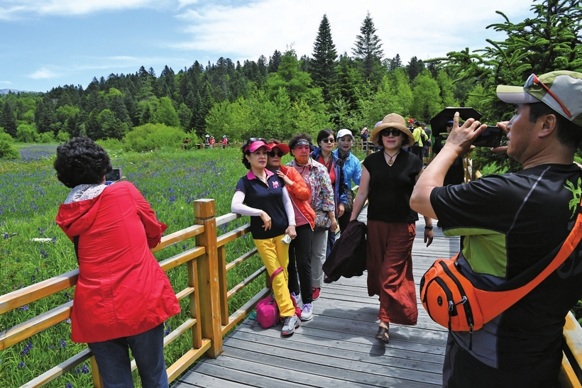長白山高山花園又到山花爛漫時