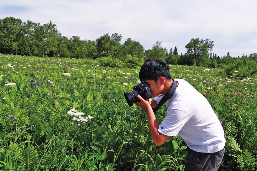 長白山高山花園又到山花爛漫時