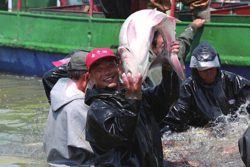賞荷 品魚 觀湖——查幹湖“夏捕”同樣精彩