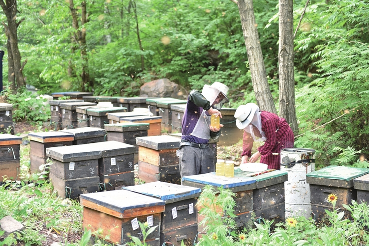 吉林白山“小蜜蜂”釀就甜蜜“大事業”