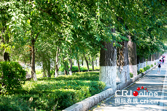 A【吉01】長春“拆圍透綠”讓市民共享“綠色福利”