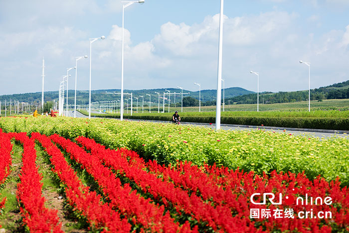 02【吉林】【原創】長春蓮花山花海大道將於8月30日正式對外開放