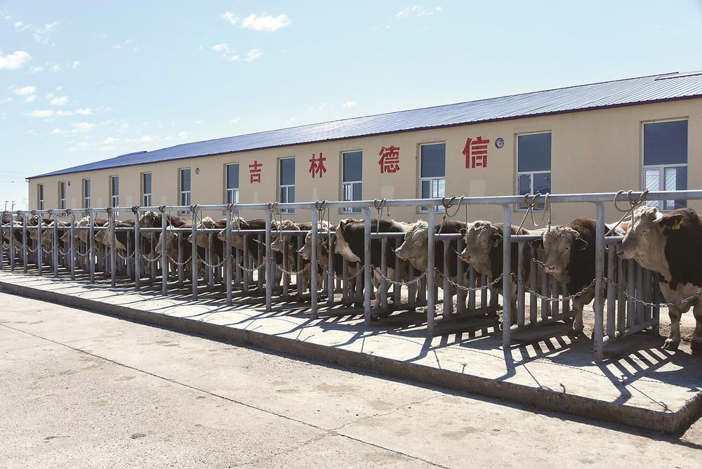 聯動全省 匯集優勢 互促共進 ——長春市與各市（州）對接合作掠影_fororder_4