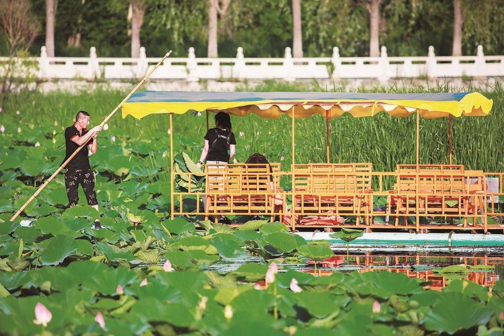 查幹湖景區荷花競相綻放 美不勝收_fororder_bf201545-550c-498b-81c1-bff04540f853