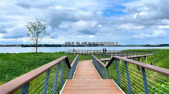 民生福祉 幸福底色 | 長春汽開區：打造“城市綠肺” 刷新西湖公園“顏值”_fororder_吉林西湖3