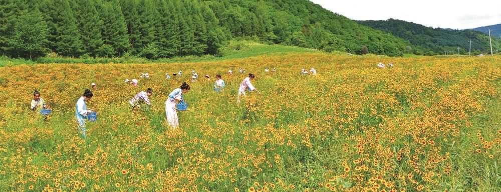 白山：做強綠色産業 加快建設踐行“兩山”理念試驗區_fororder_吉林焦點6-6b91e3f6-b524-4bf7-bd6d-68035085984c