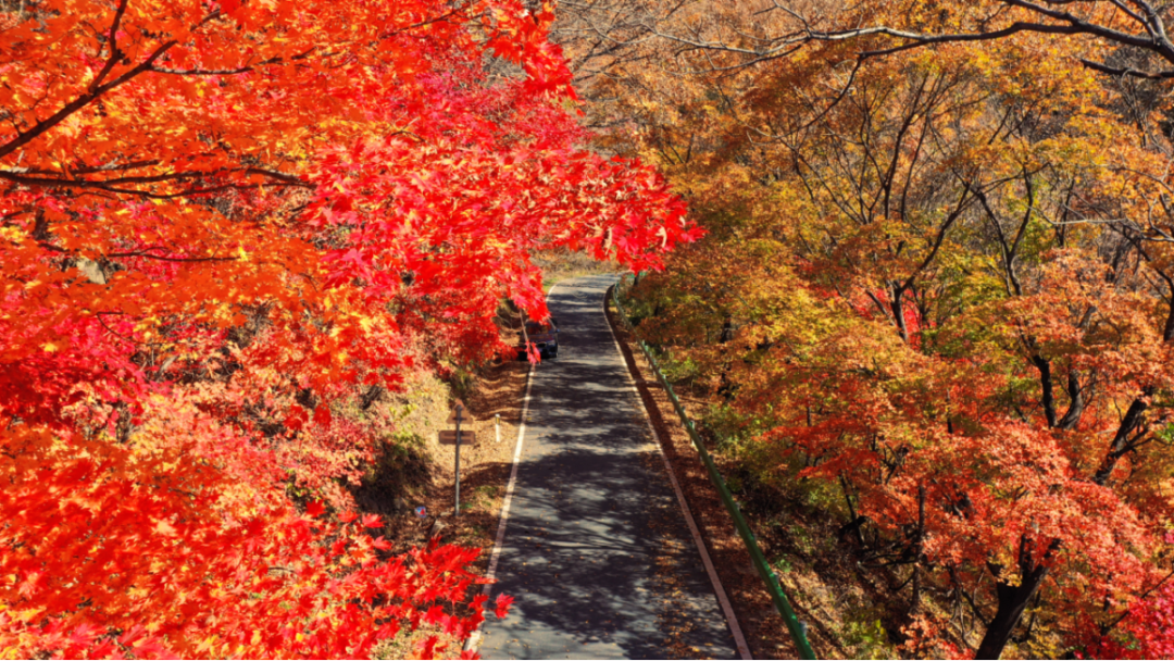 吉林這條最美鄉村公路，山水人文畫中行