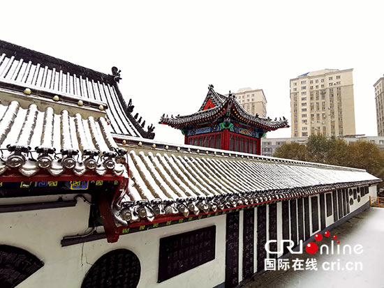 04【吉林】【原創】長春雪後銀裝素裹 美景如畫