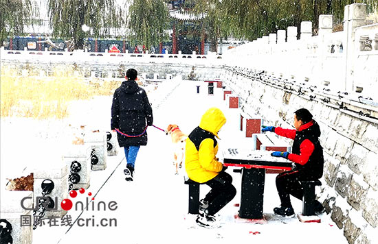 04【吉林】【原創】長春雪後銀裝素裹 美景如畫