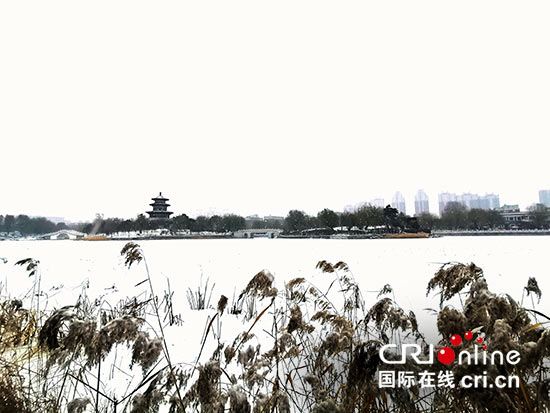 04【吉林】【原創】長春雪後銀裝素裹 美景如畫