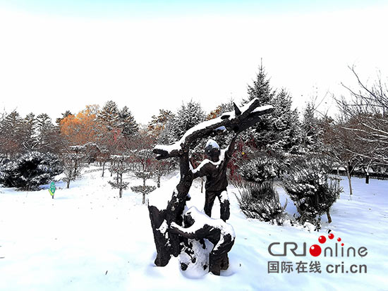 04【吉林】【原創】長春雪後銀裝素裹 美景如畫