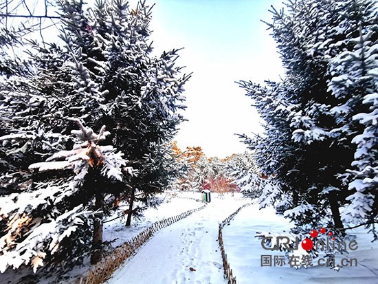 04【吉林】【原創】長春雪後銀裝素裹 美景如畫