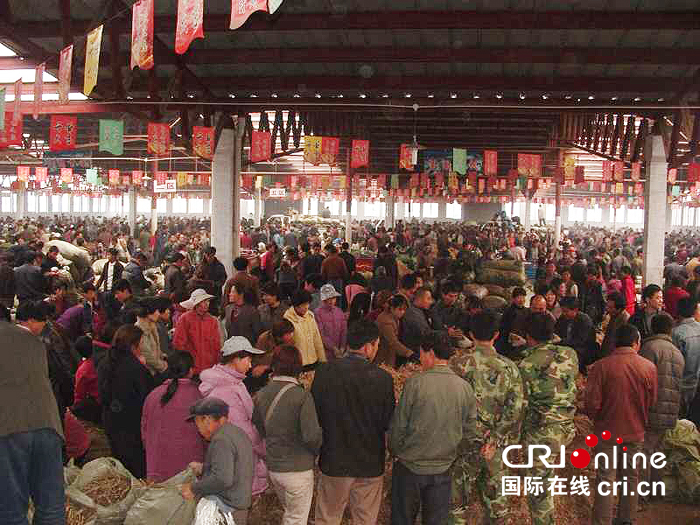 07 【吉林】【原創】【CRI看吉林（標題）】【圖説吉林】【關東黑土（白山）】慶祝改革開放40週年系列報道（吉林篇）之十四：白山市撫松縣擁有全國最大的人參市場
