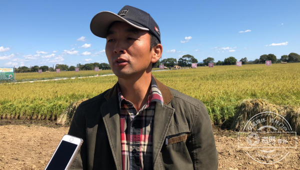 稻田還是那稻田 舒蘭怎樣換了新顏