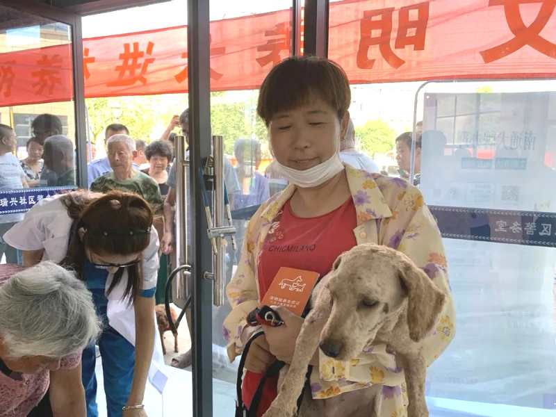 （B 健康圖文 三吳大地南通 移動版）南通開發區公安分局竹行派出所聯合社區開展文明養犬宣傳活動