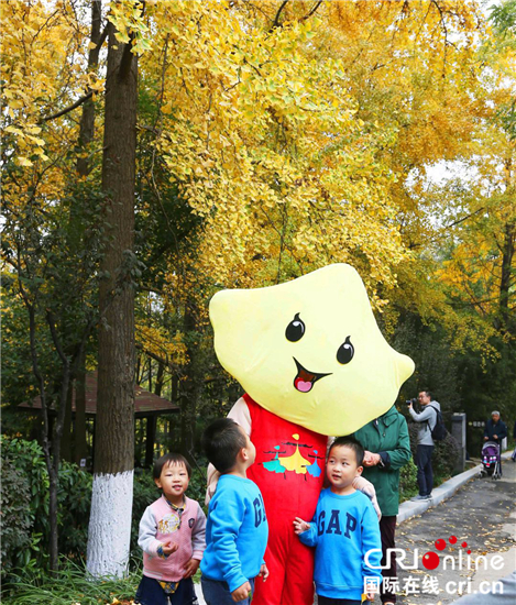 （原創 旅遊列表 三吳大地南京 移動版）第四屆南京清涼山銀杏谷旅遊文化節正式開幕