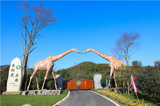 （有修改）（B 文旅列表 移動版）湖州長頸鹿莊園邀請江蘇遊客體驗和諧之旅