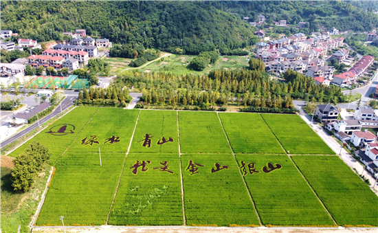 （有修改）（B 焦點圖輪播 Chinanews帶圖列表 移動版）浙江傳媒學院學子爭做“綠水青山就是金山銀山”理念傳承人