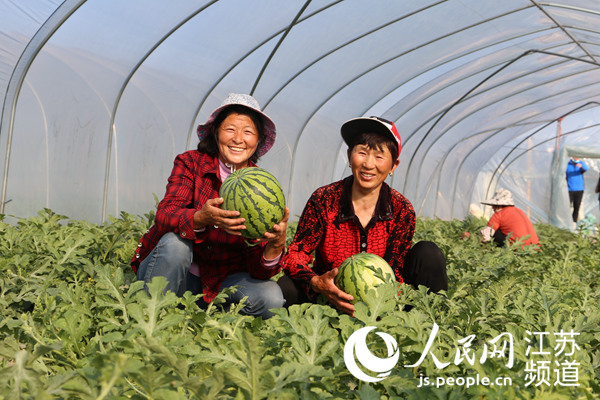 江蘇灌南：畜禽業綜合利用為農業增綠增效