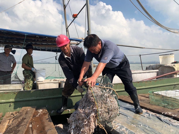 9月1日太湖開捕