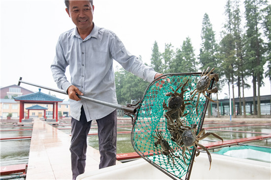 （有修改）（B 財經列表 三吳大地南京 移動版）第二十屆中國·高淳固城湖螃蟹節將於9月19日開幕