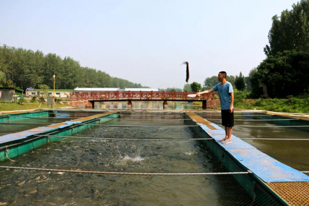 （科技圖文 三吳大地揚州 移動版）揚州運東漁村運用“水缸養魚法” 創造富民路