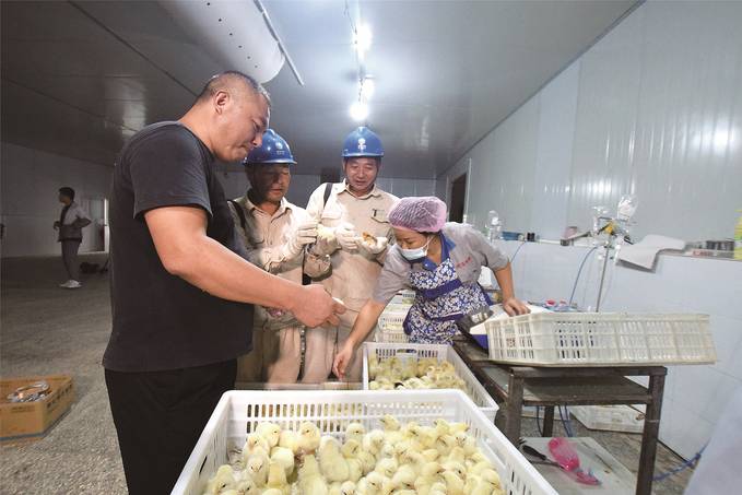 淮安洪澤：鄉村電氣化讓農民小康之路越走越寬