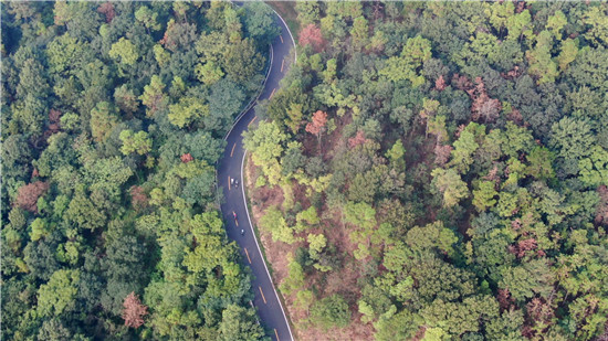 （B 文旅列表 三吳大地南京 移動版）“不止騎·2020第二屆環南京自行車賽湯山站”開賽