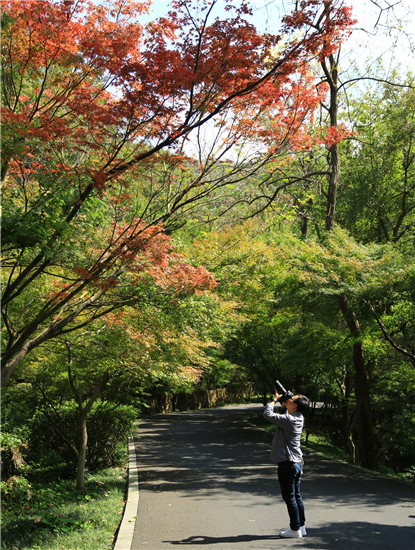 已過審）第二十屆“秋棲霞”紅楓藝術節開啟_fororder_微信圖片_20201010165801_副本