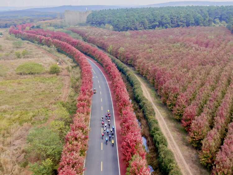 （B 文旅圖文 chinanews帶圖）不止騎·2020第二屆環南京自行車賽竹鎮站開賽