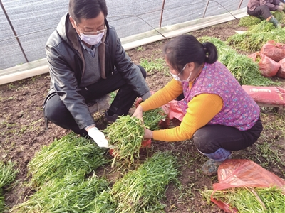 （要聞 三吳大地南京 移動版）南京棲霞區讓農産品“滯銷”變“直銷”