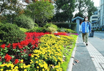 南京市民家門口的“口袋公園”