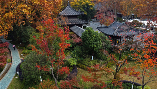 南京市棲霞山紅楓節精彩繼續 邀遊客探尋草藥文化