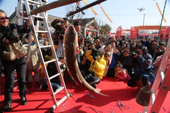 （供稿 三農列表 三吳大地南通 移動版）南通海安第八屆捕魚節將於1月26日在白甸開幕