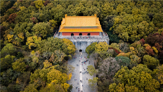 蘇寧鍾山國際高爾夫酒店：在風景旖旎處感受至臻服務