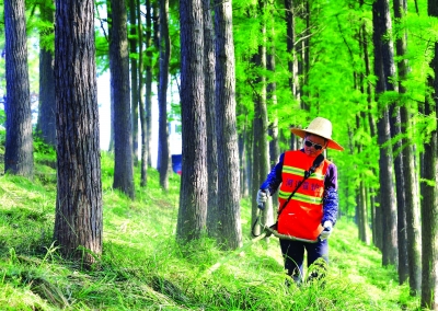 鎮江句容推進全域生態河湖治理